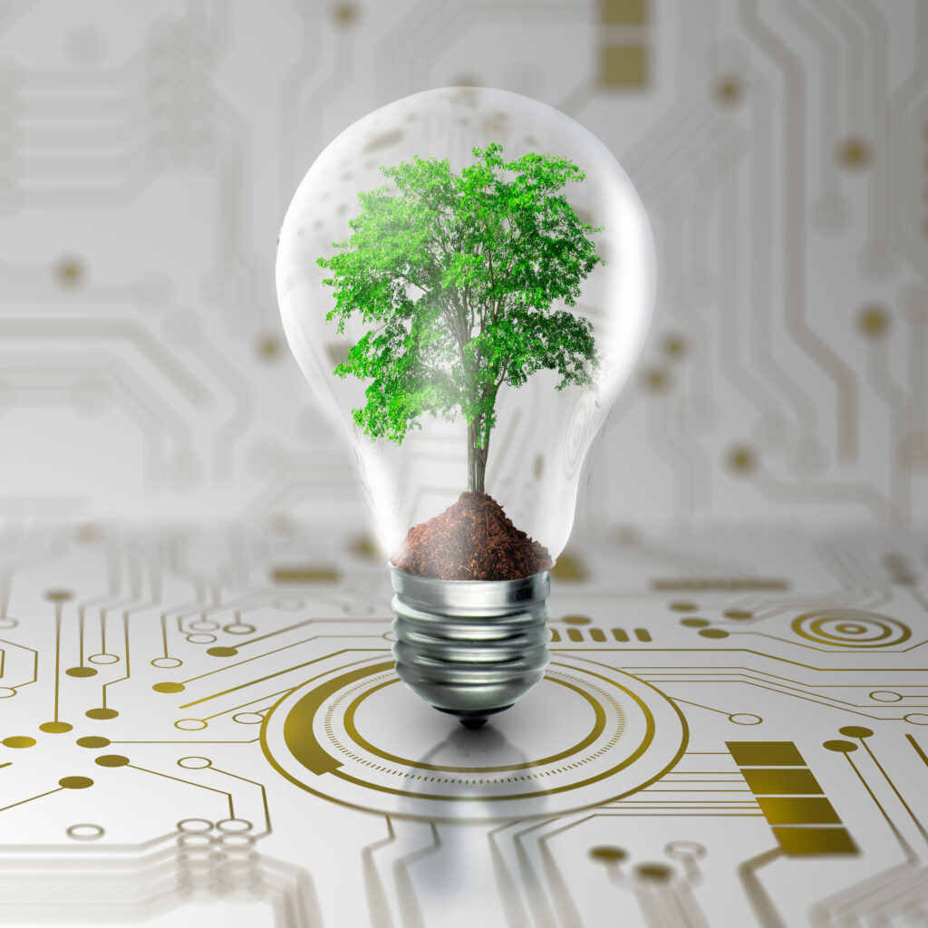 Green Innovation, Sustainable Future